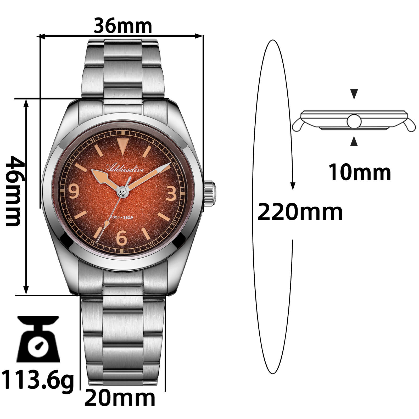 ADDIESDIVE 36mm Luxury Quartz Watch AD2554