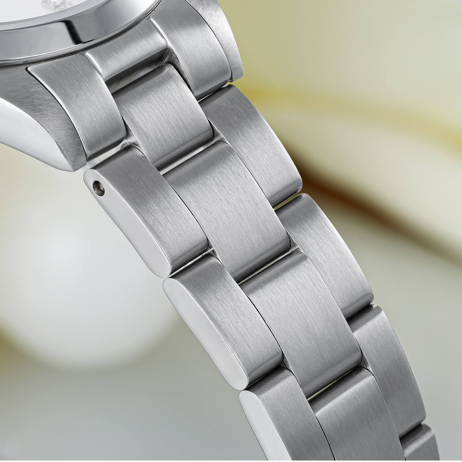 Addies 31mm Women’s Luxury Stainless Steel Quartz Watch AW25909
