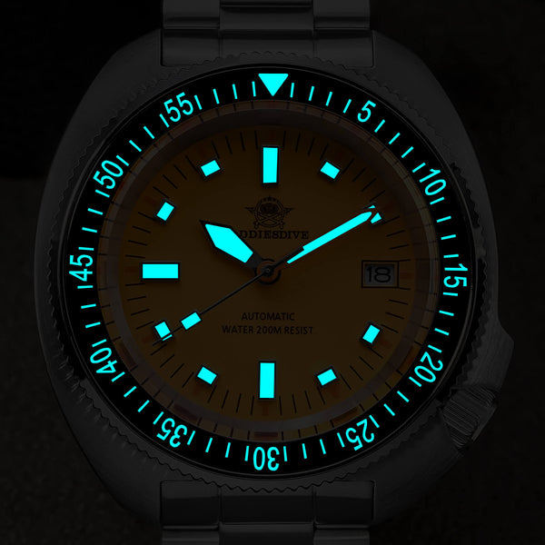 <Blind box> Pre-owned ADDIESDIVE Automatic Watch AD2081